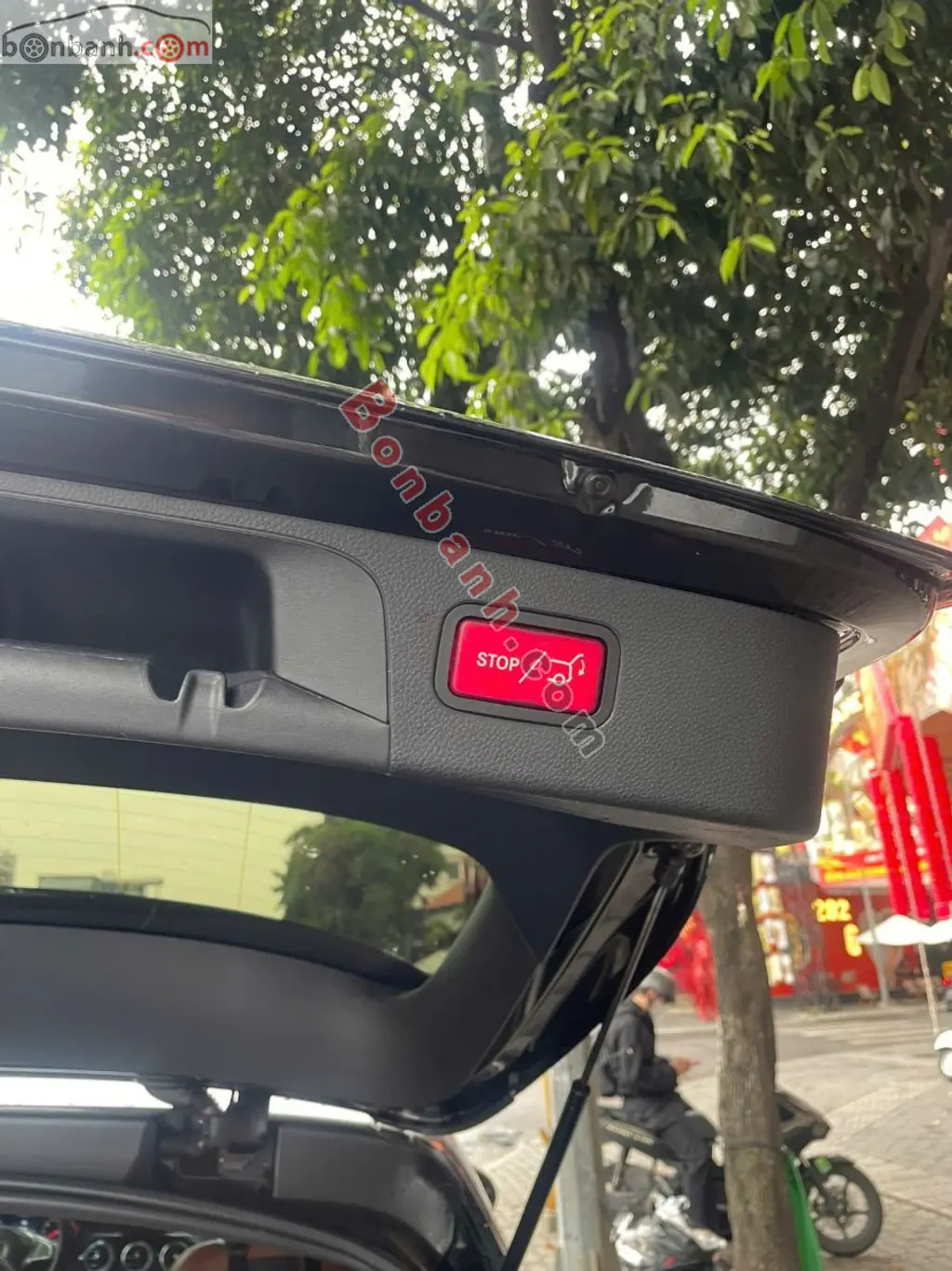 Hình ảnh số 2