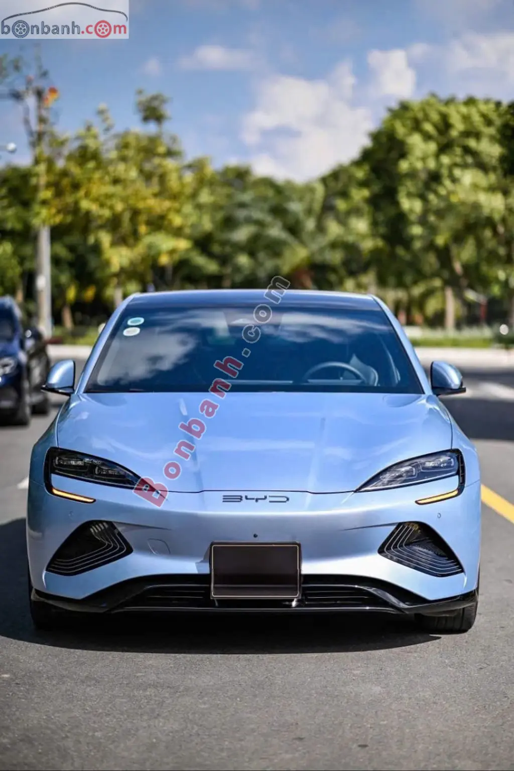 Hình ảnh số 2