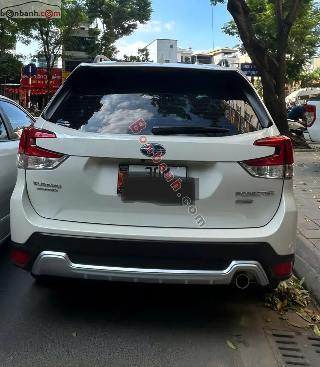 Hình ảnh số 4