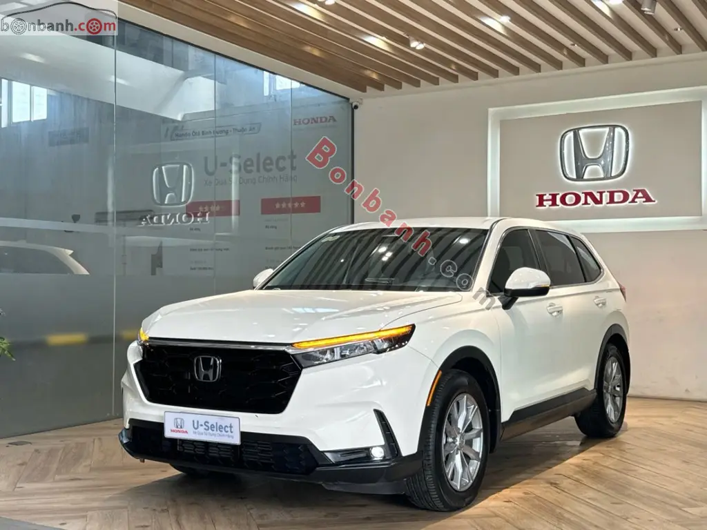 Hình ảnh số 2