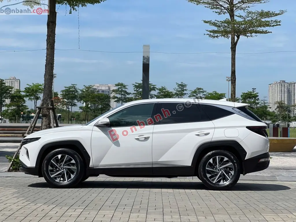 Hình ảnh số 2