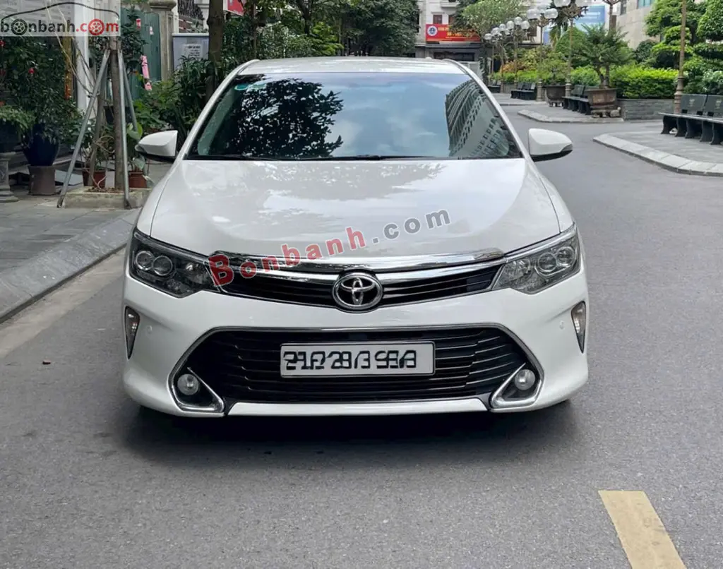 Hình ảnh số 2