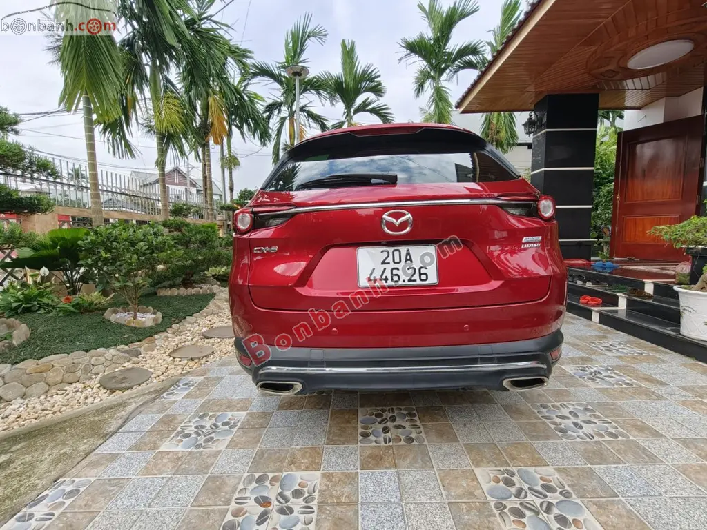 Hình ảnh số 2