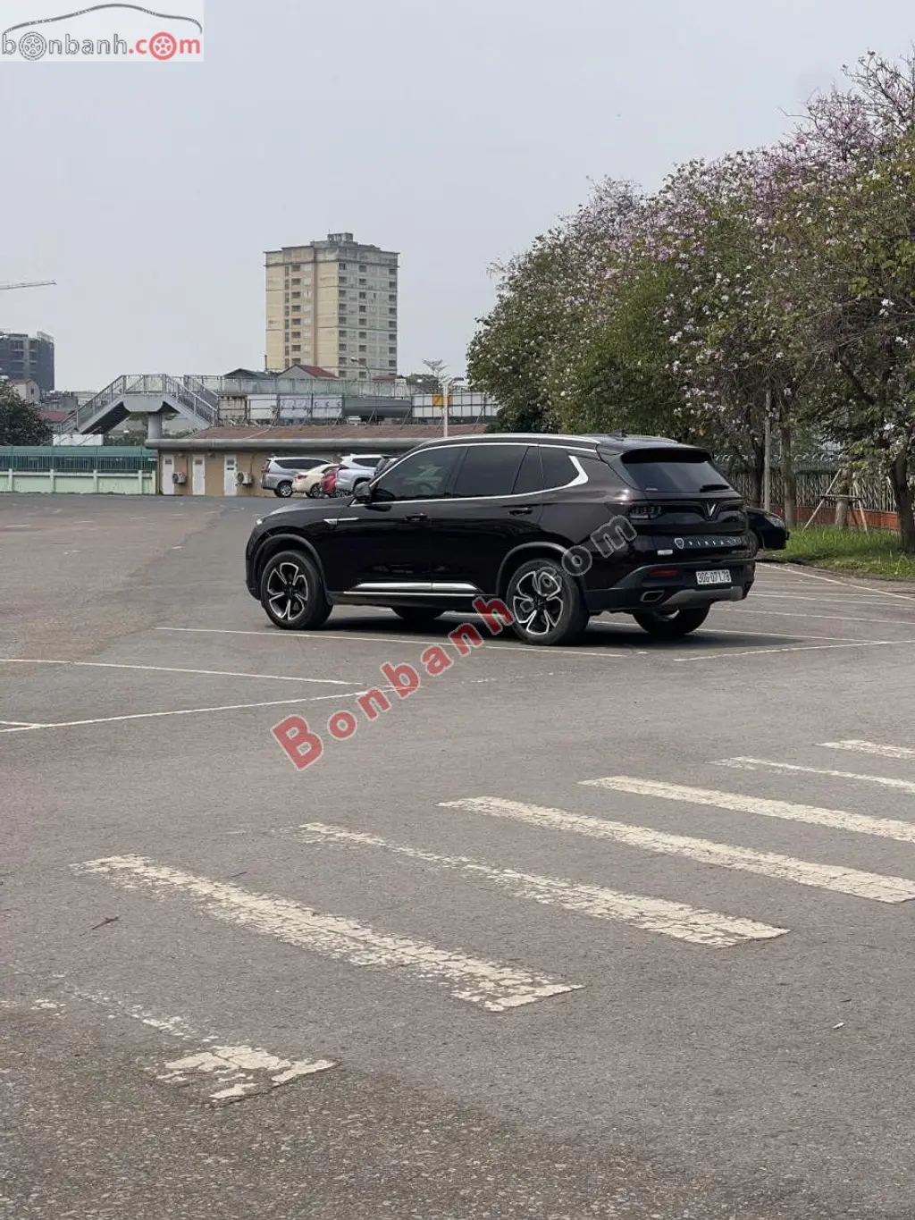 Hình ảnh số 6