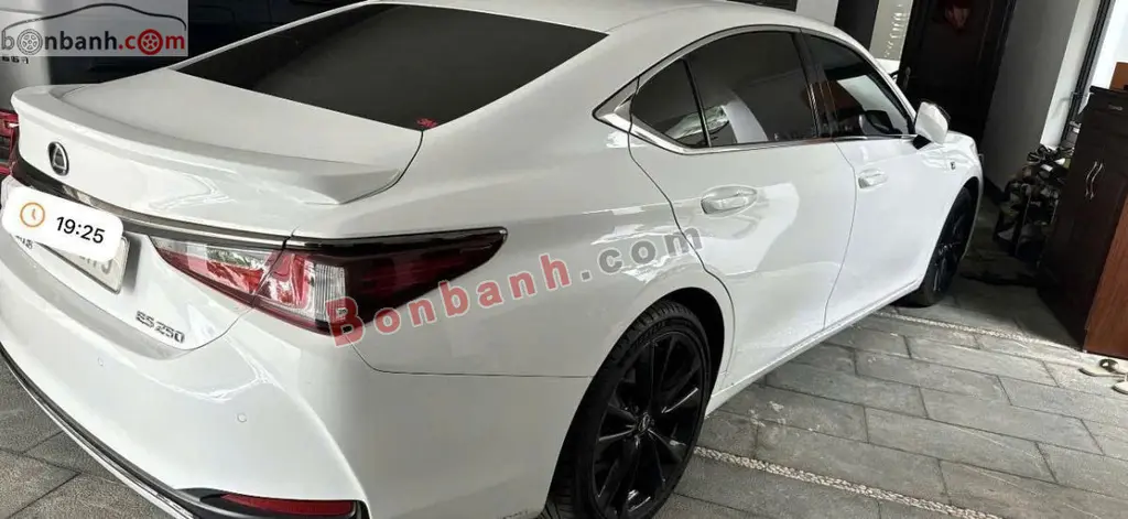 Hình ảnh số 2