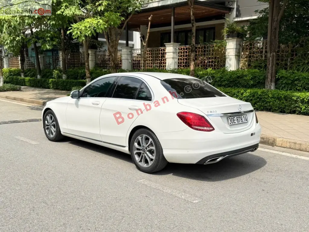 Hình ảnh số 5