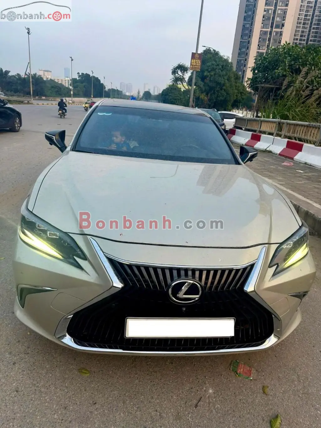 Hình ảnh số 2