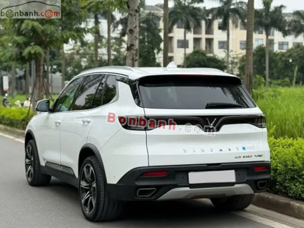 Hình ảnh số 4