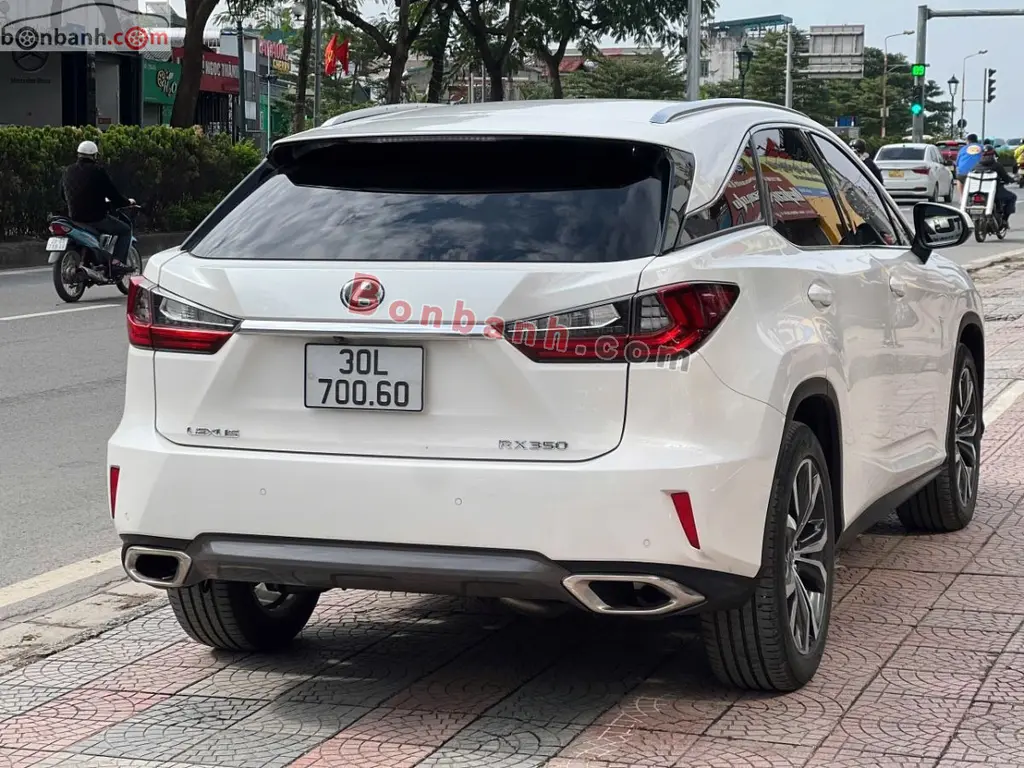 Hình ảnh số 10