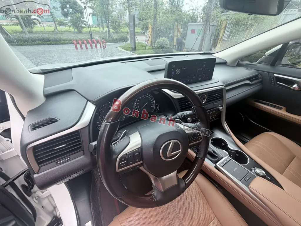 Hình ảnh số 10