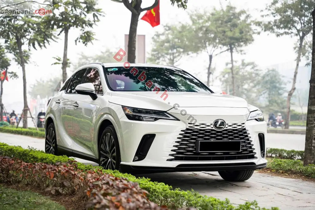 Hình ảnh số 3