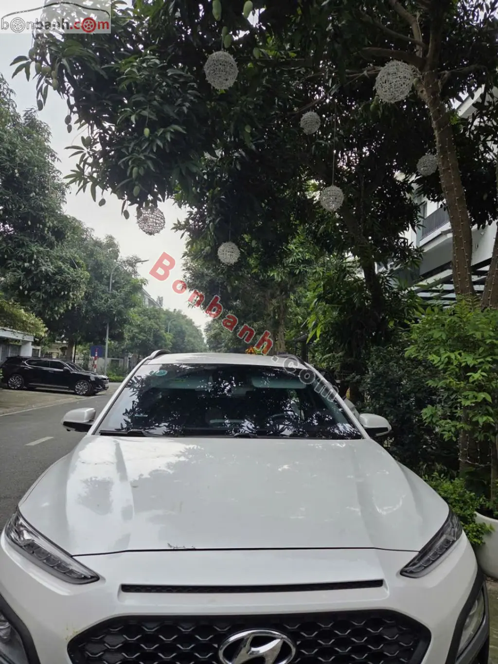 Hình ảnh số 2