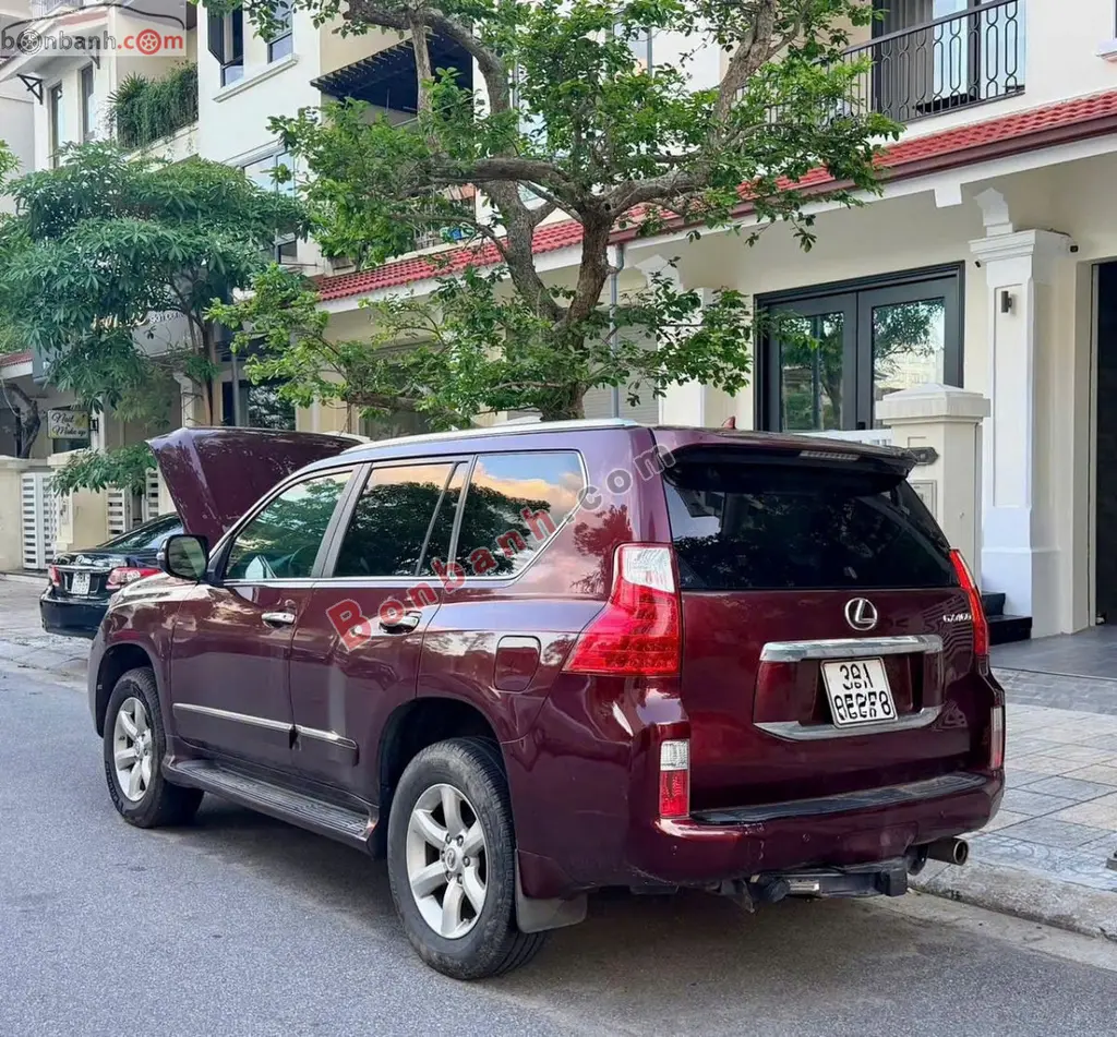 Hình ảnh số 4