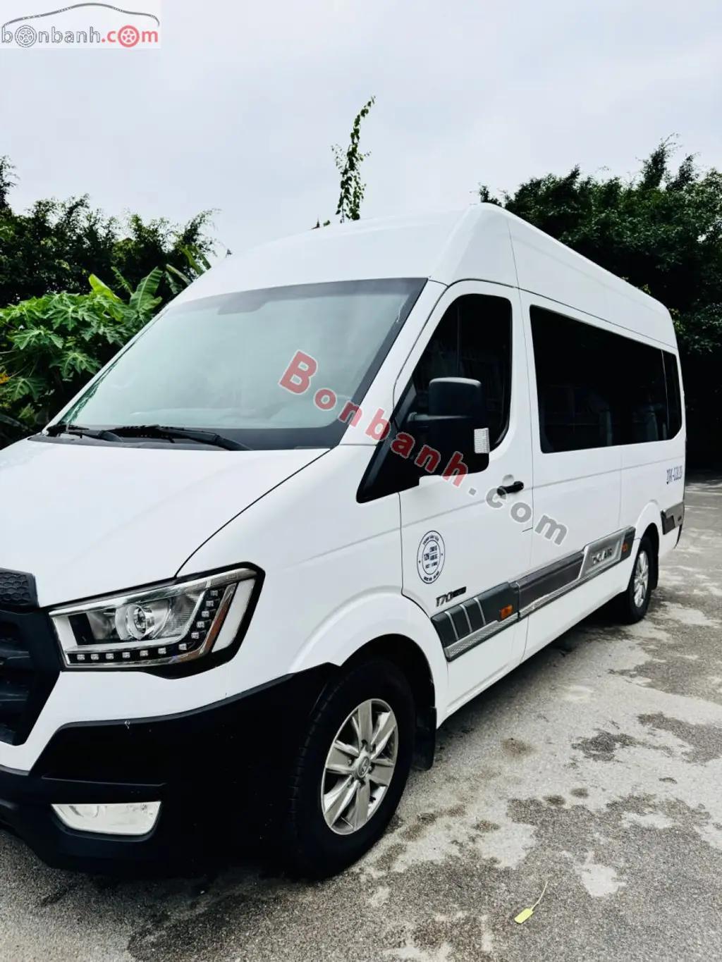 Hình ảnh số 3