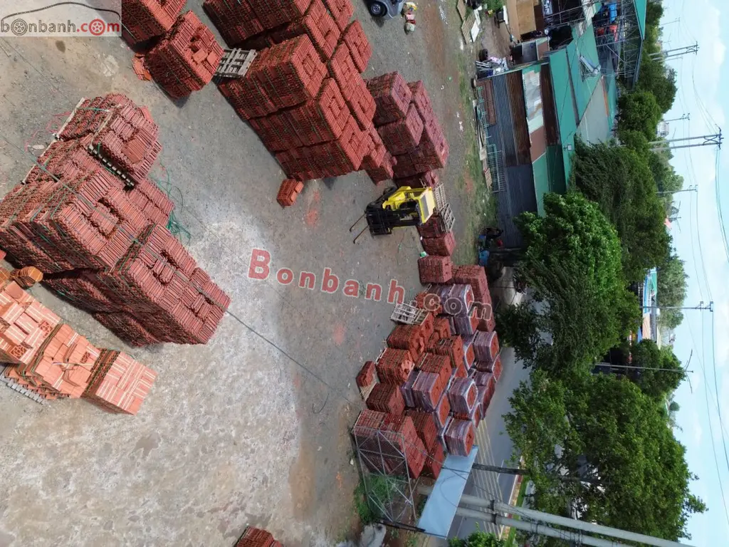 Hình ảnh số 5