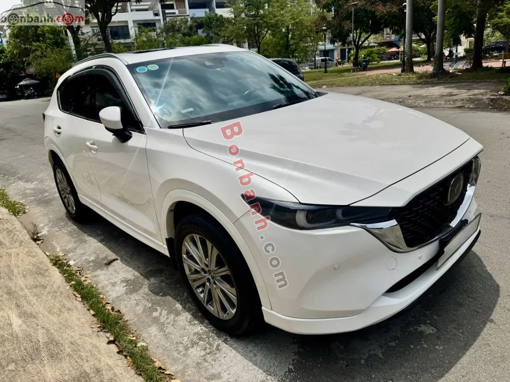 Hình ảnh số 2
