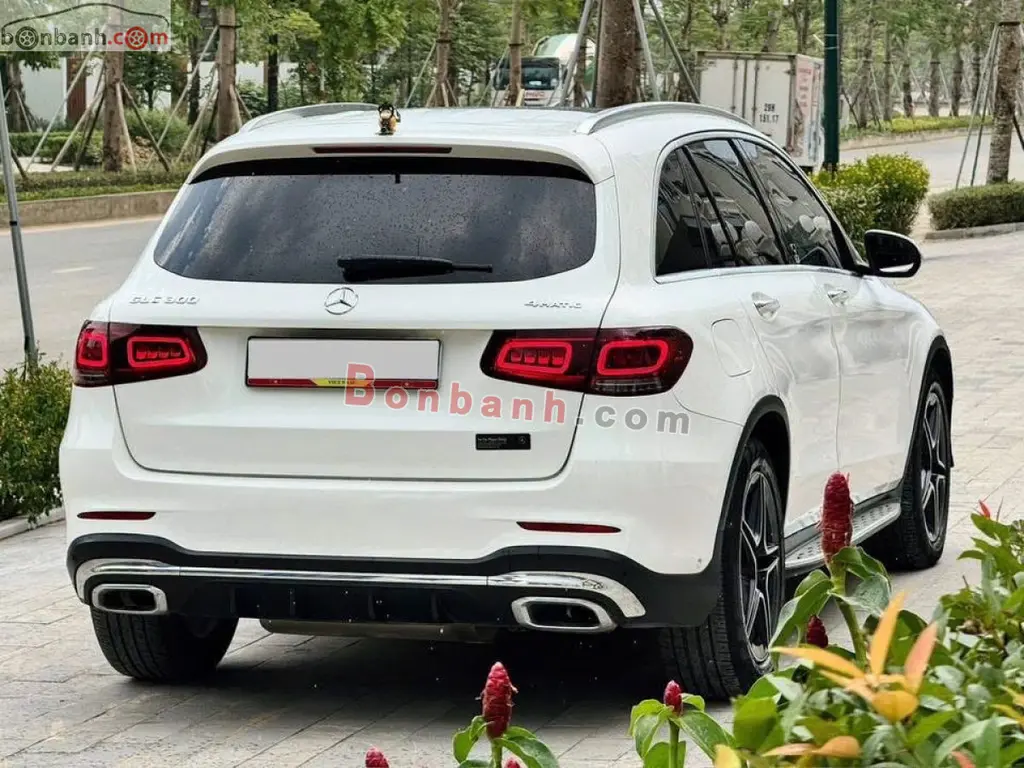Hình ảnh số 10