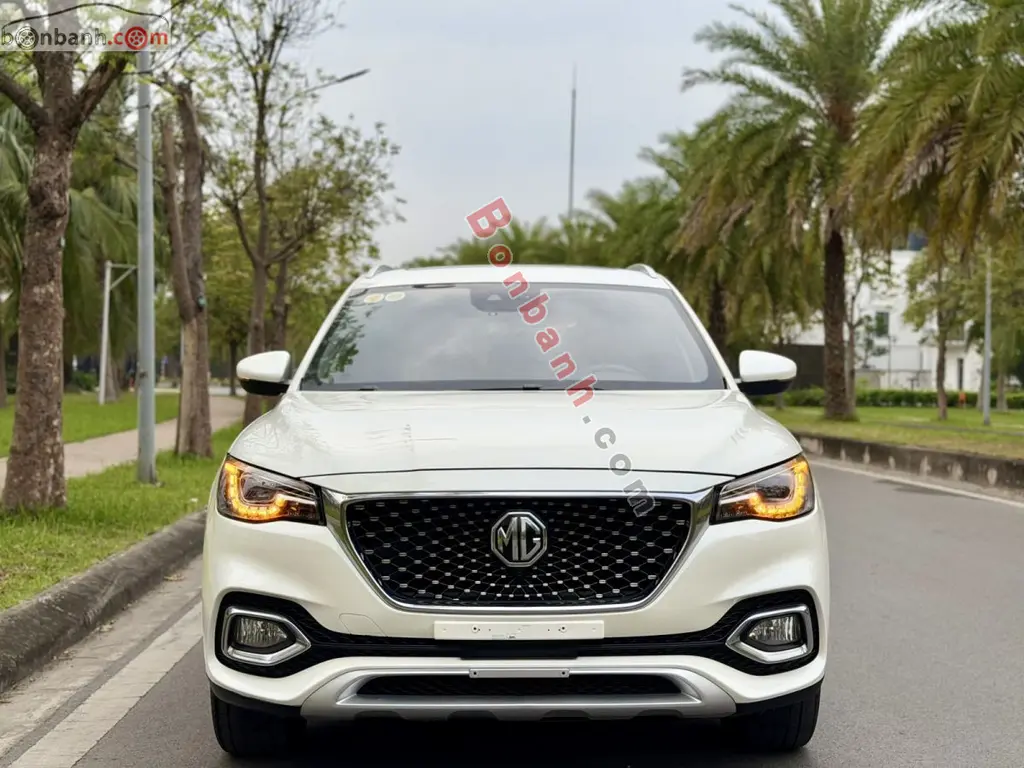 Hình ảnh số 2