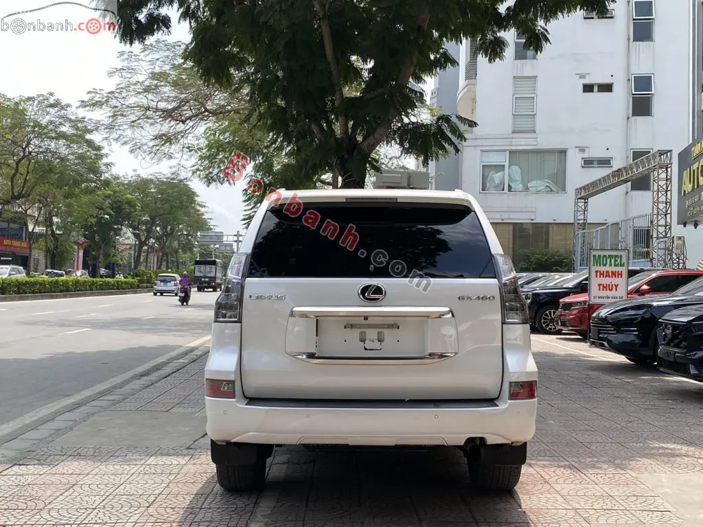 Hình ảnh số 5