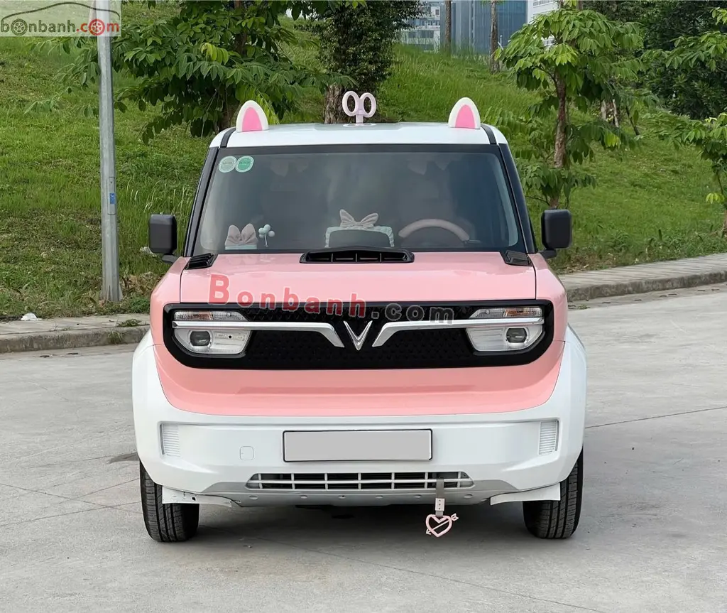 Hình ảnh số 2