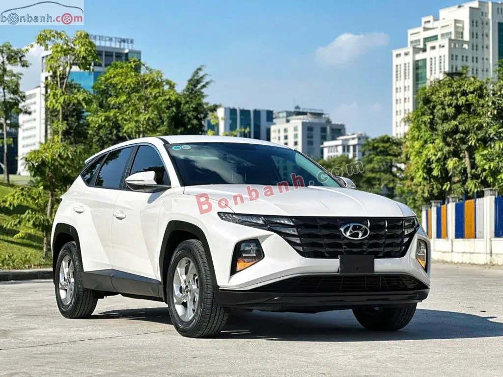Hình ảnh số 3