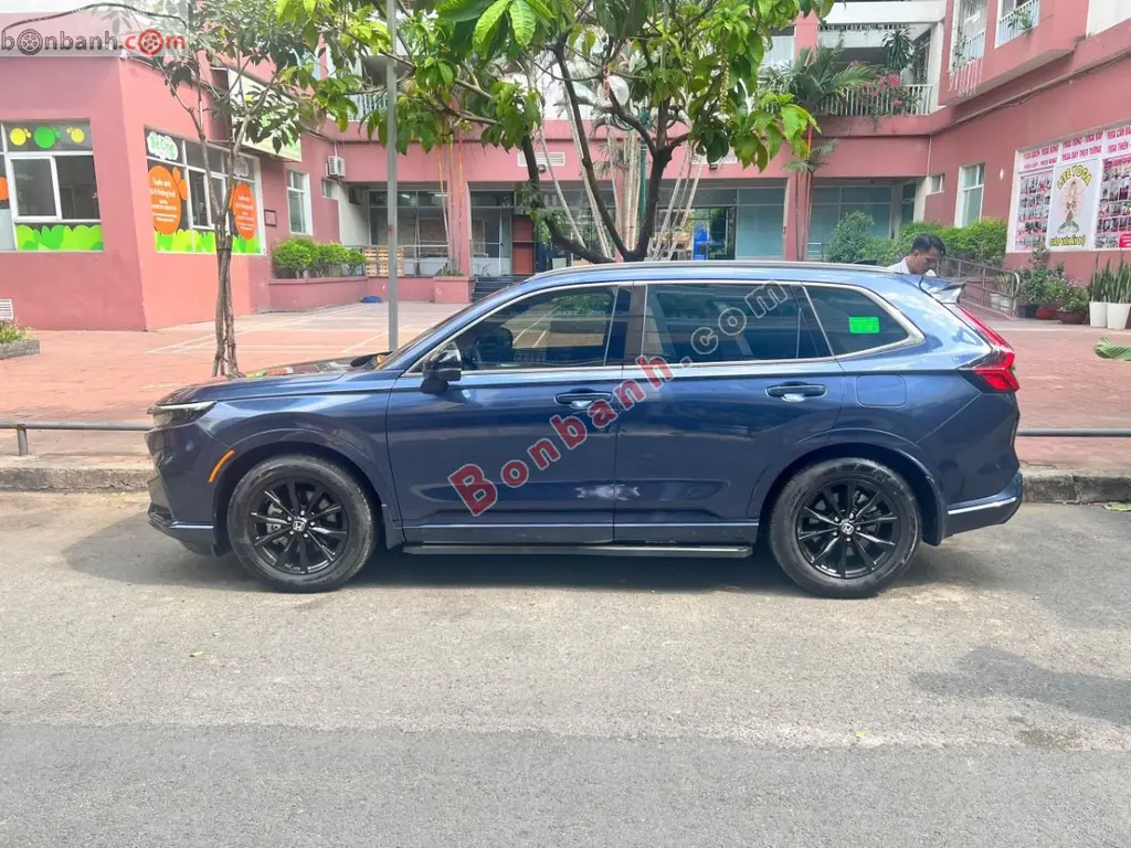 Hình ảnh số 2