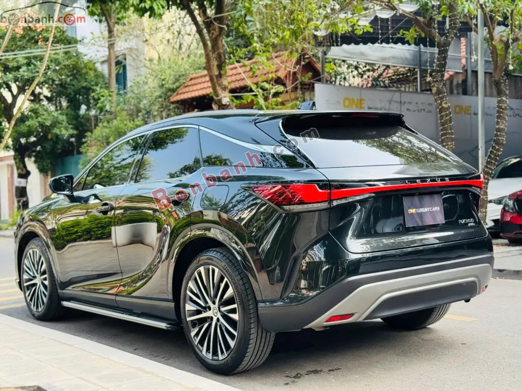 Hình ảnh số 3