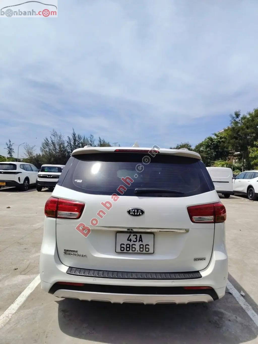 Hình ảnh số 2