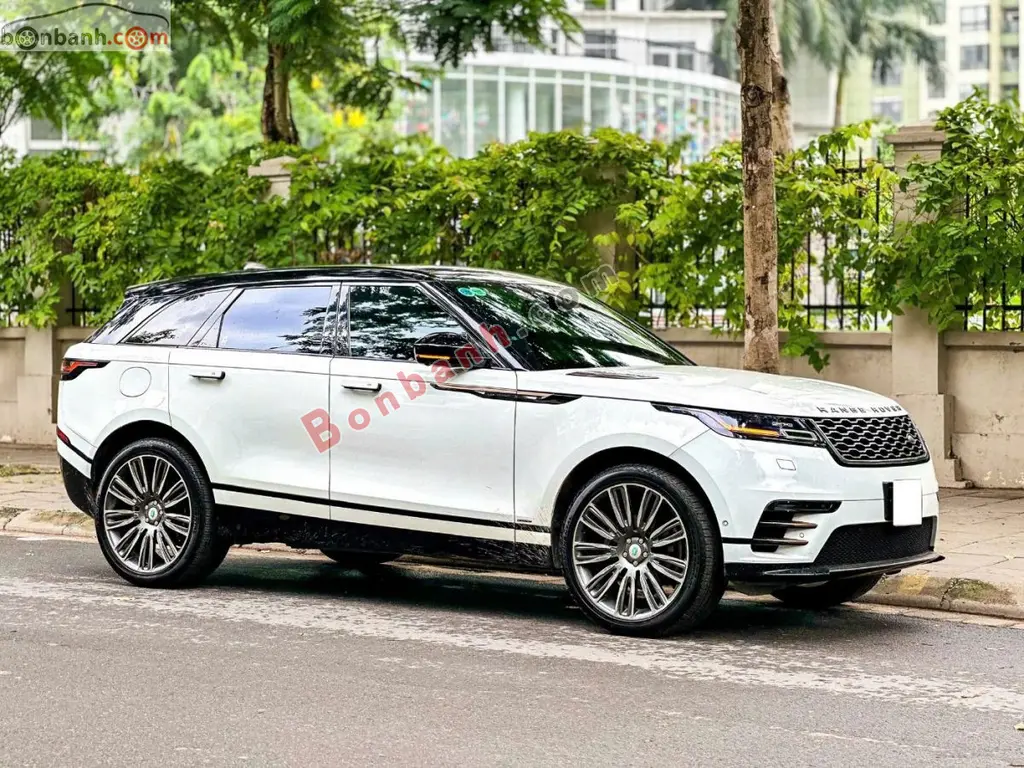 Hình ảnh số 2