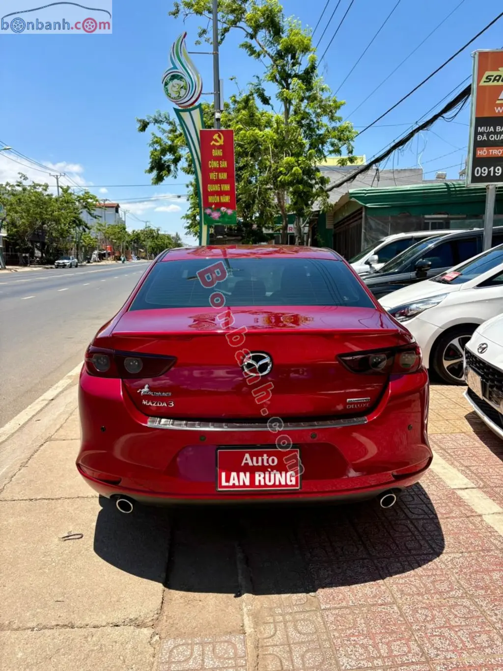 Hình ảnh số 6