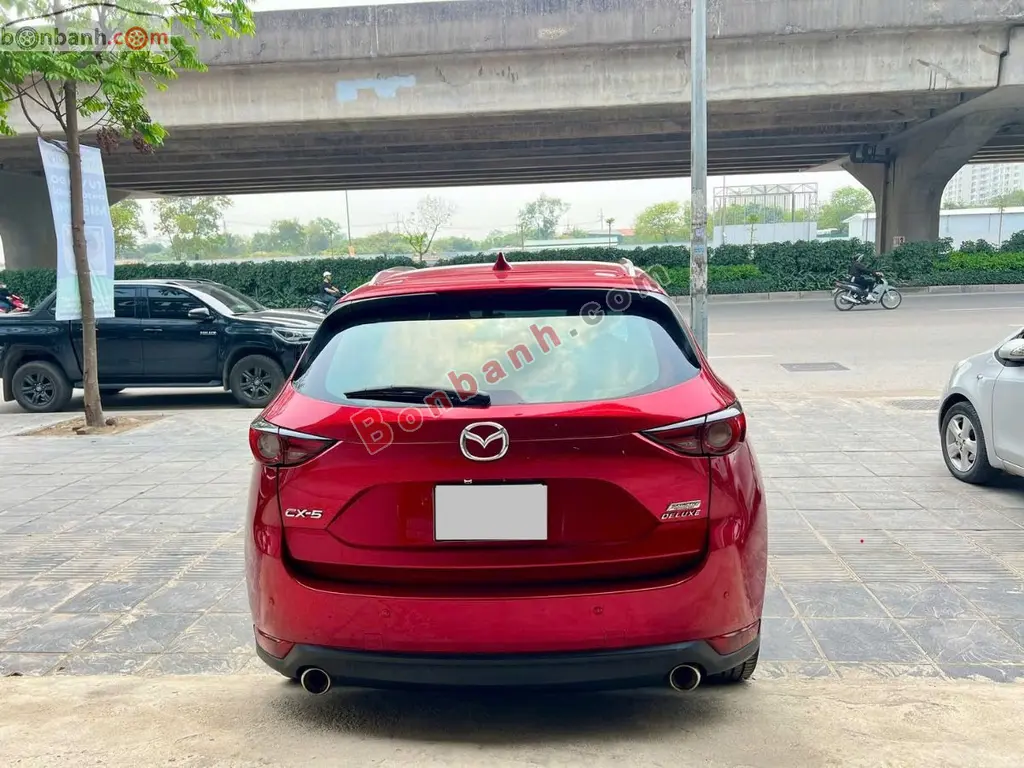 Hình ảnh số 3