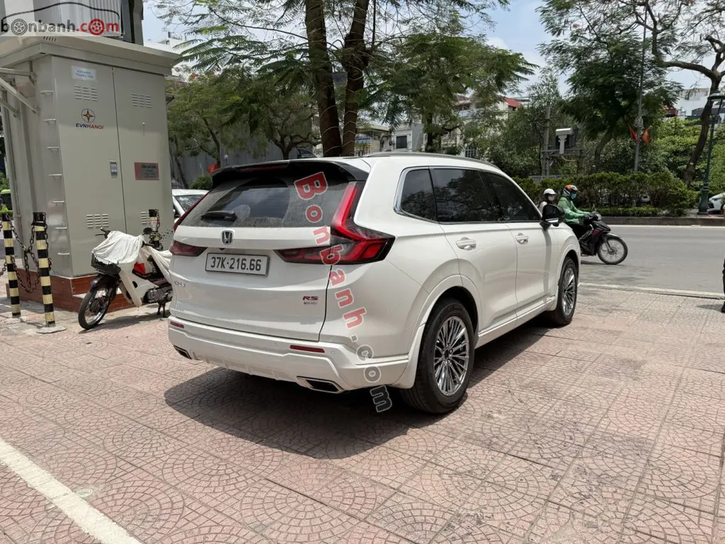 Hình ảnh số 5