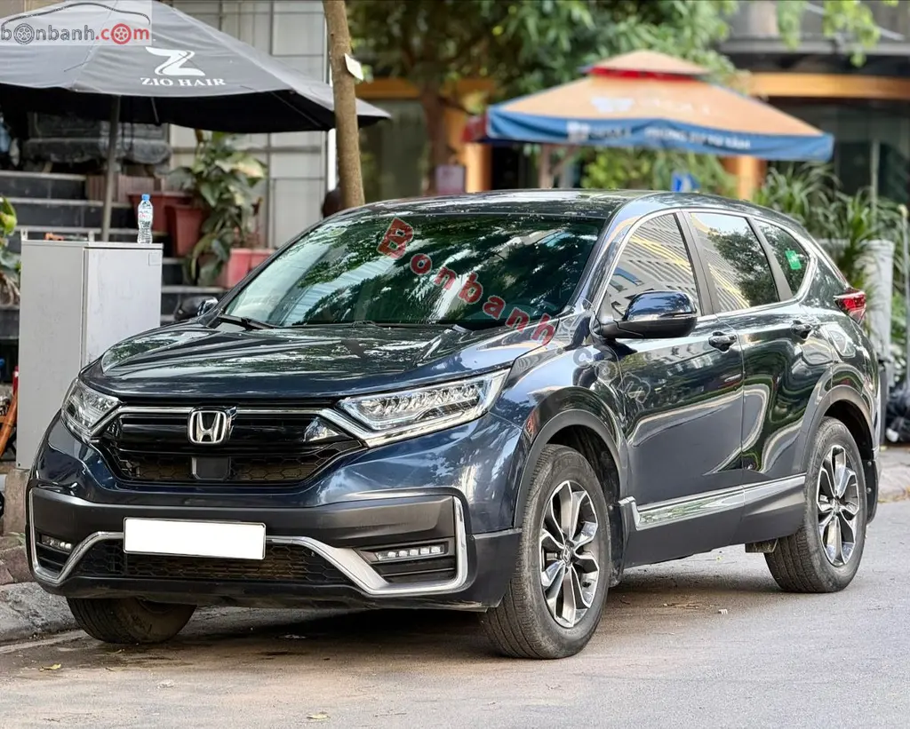 Hình ảnh số 2