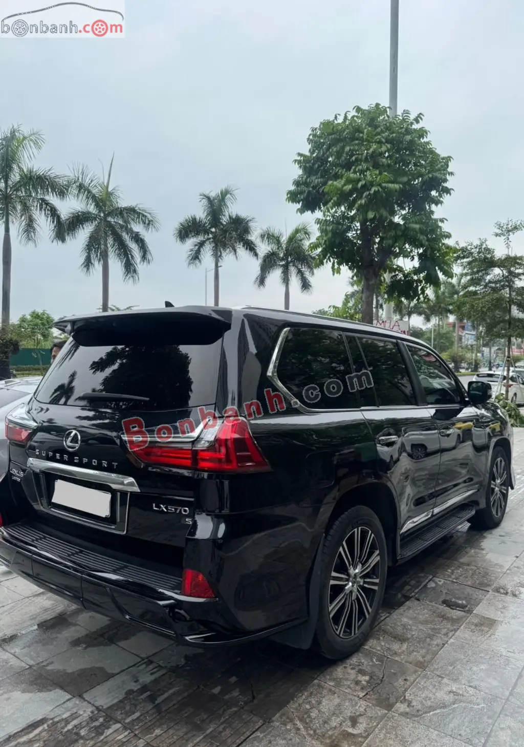 Hình ảnh số 5