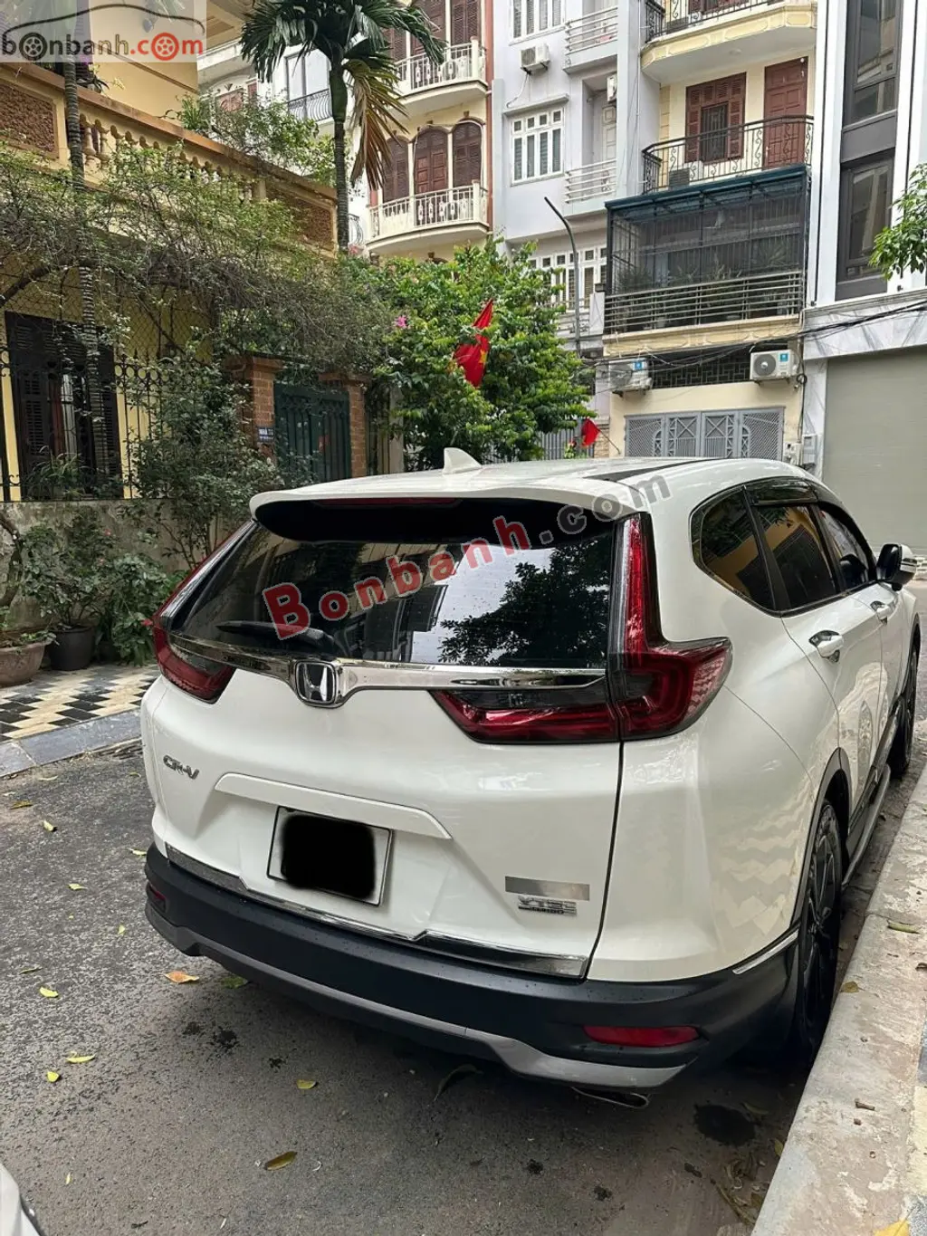 Hình ảnh số 3