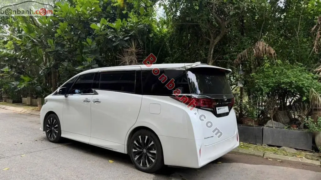 Hình ảnh số 2