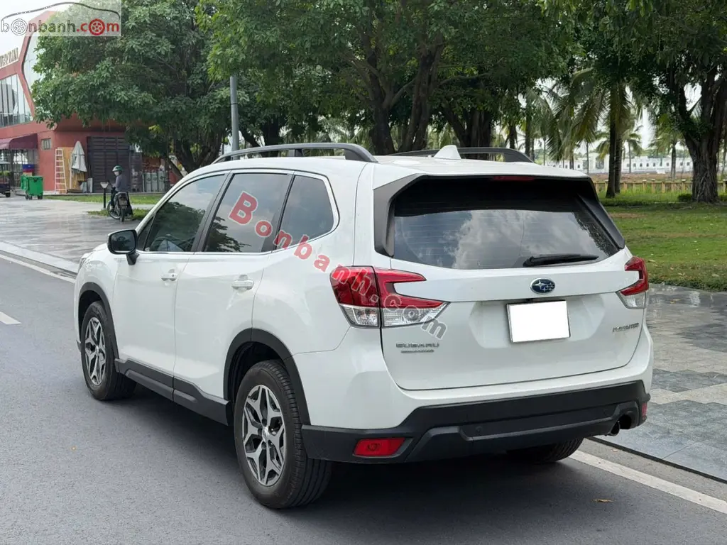 Hình ảnh số 5