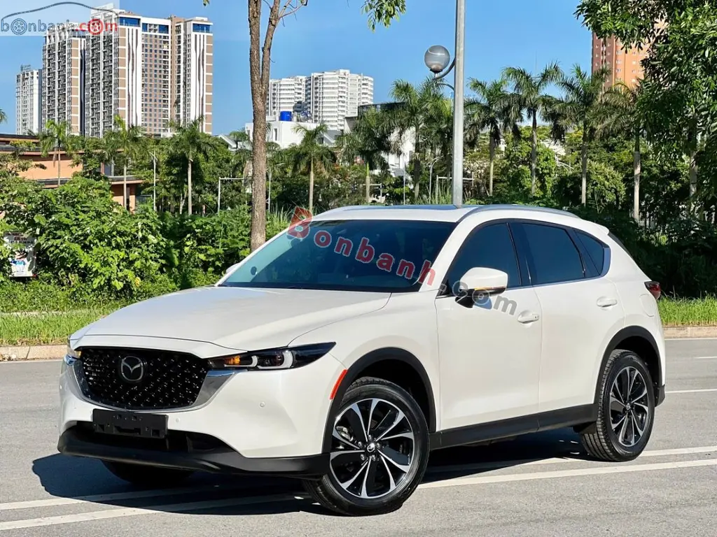 Hình ảnh số 2