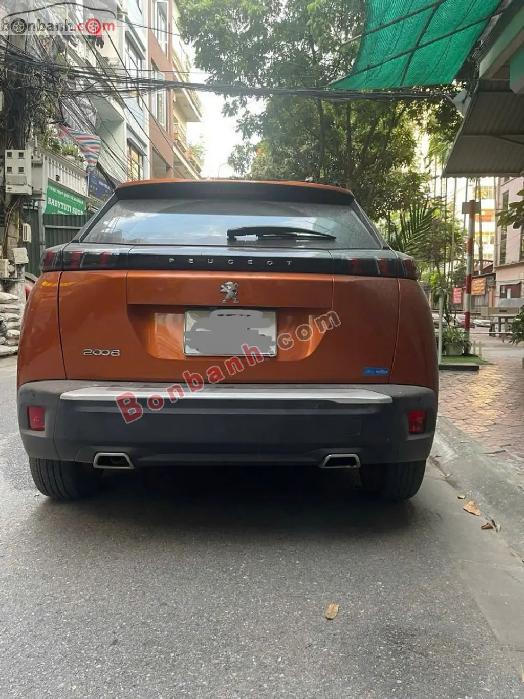 Hình ảnh số 3