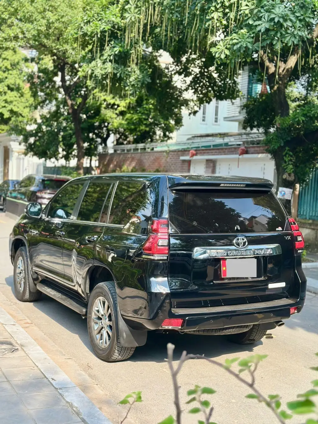 Hình ảnh số 3