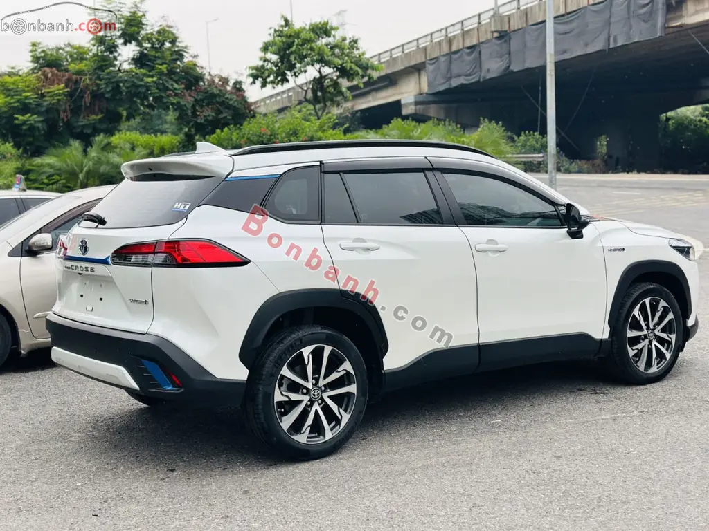 Hình ảnh số 3