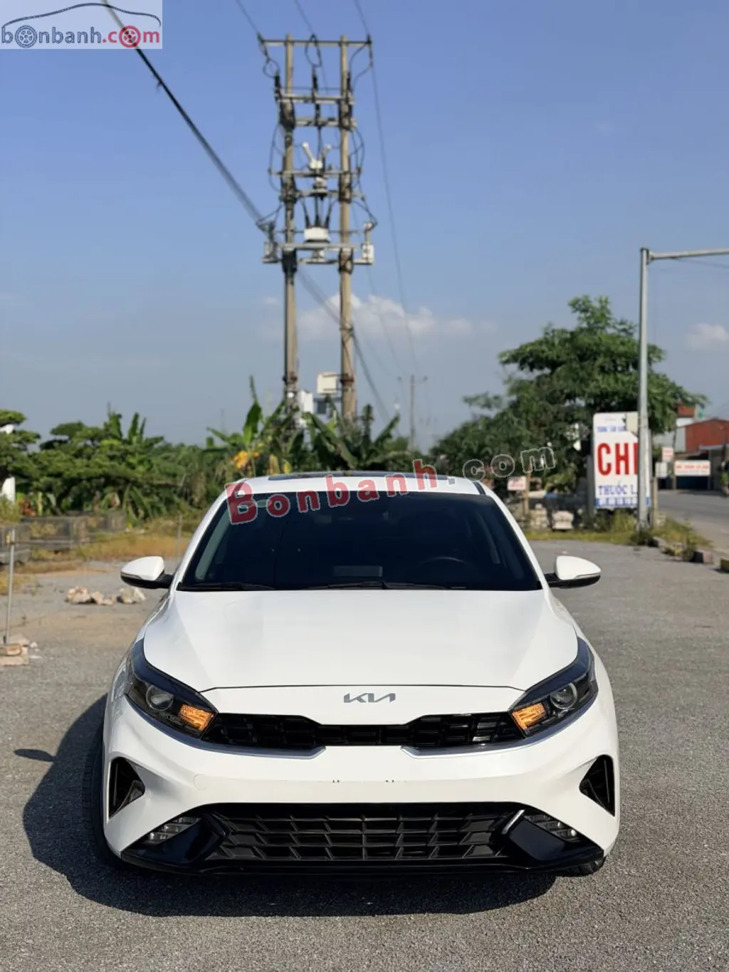Hình ảnh số 2