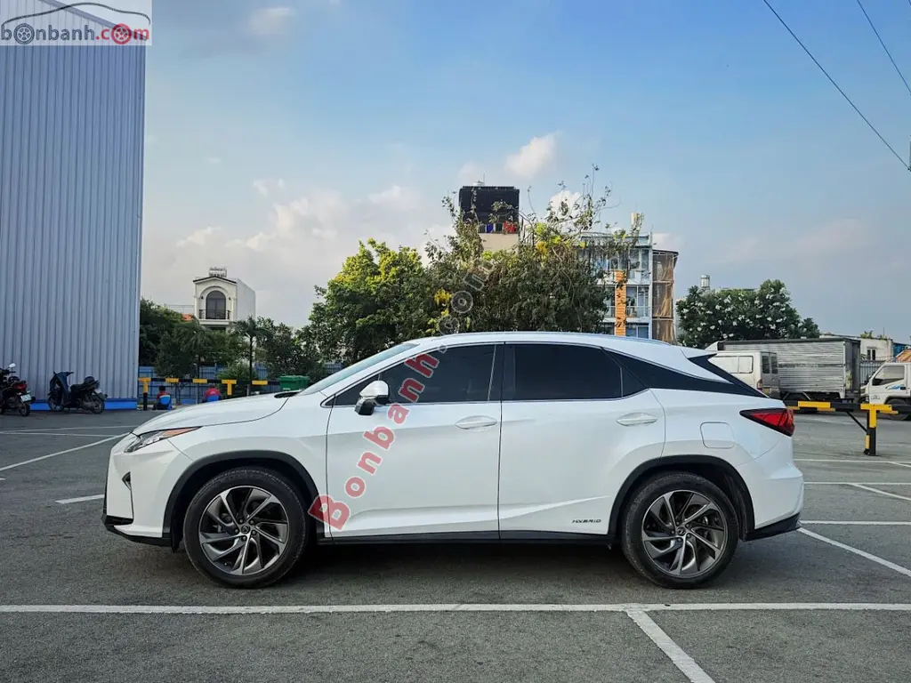 Hình ảnh số 3