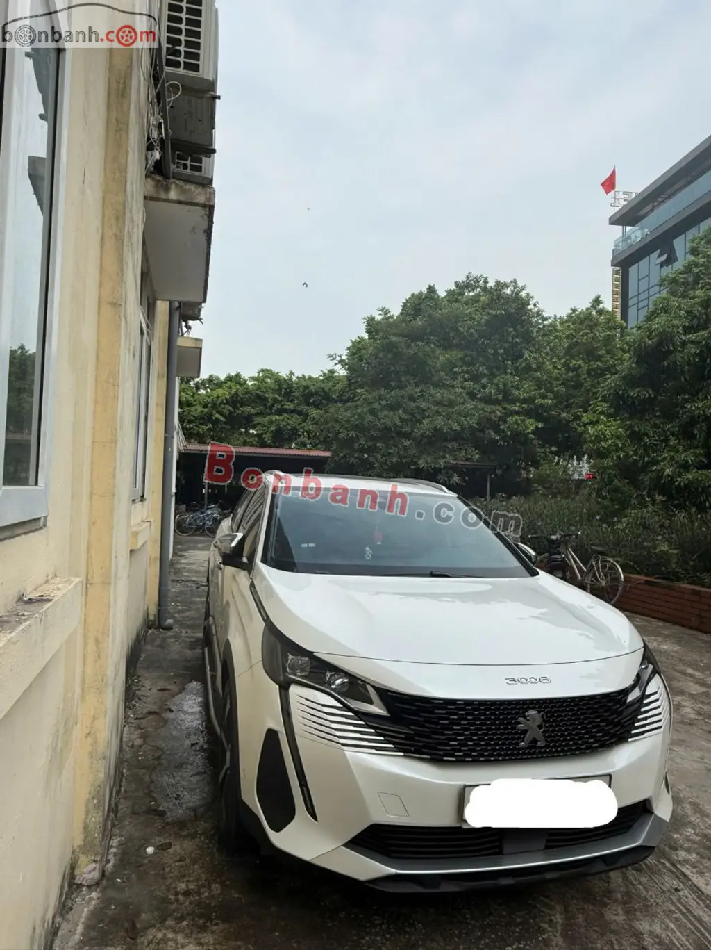 Hình ảnh số 2