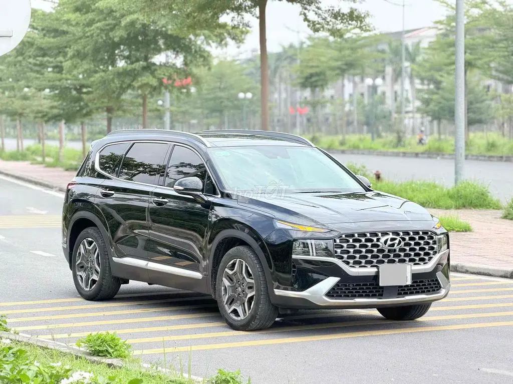 Hình ảnh số 2