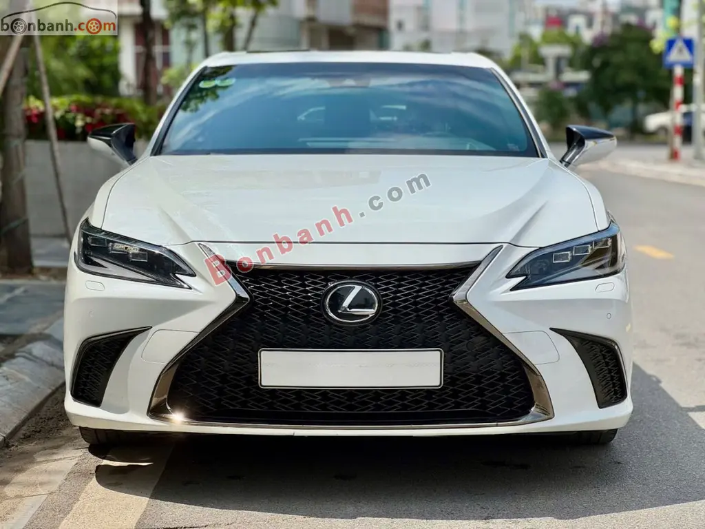 Hình ảnh số 2