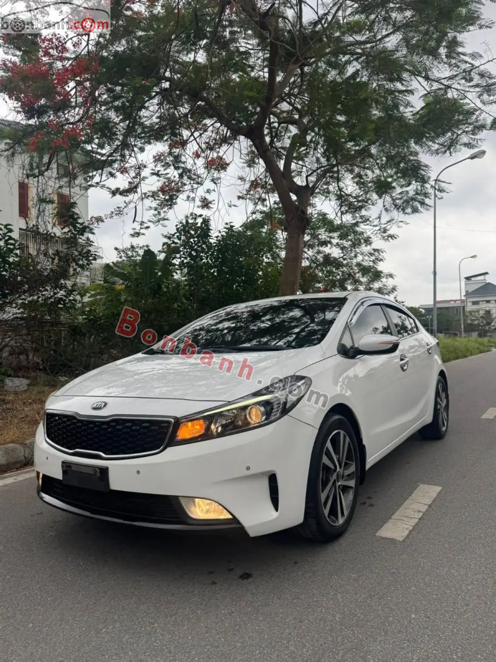 Hình ảnh số 3