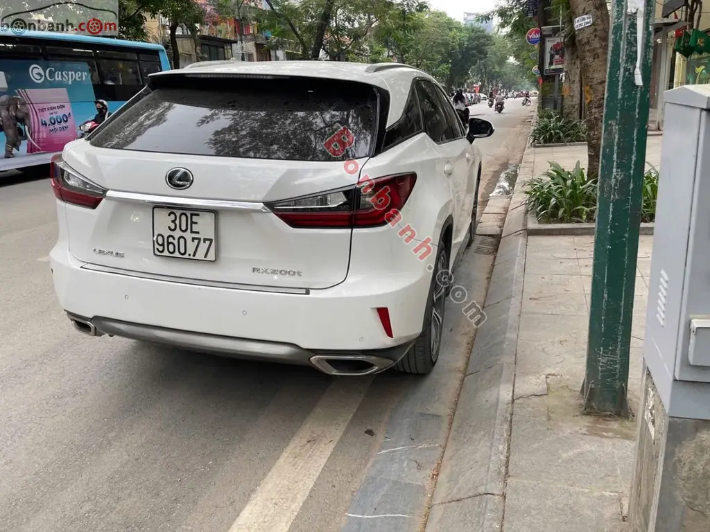 Hình ảnh số 2