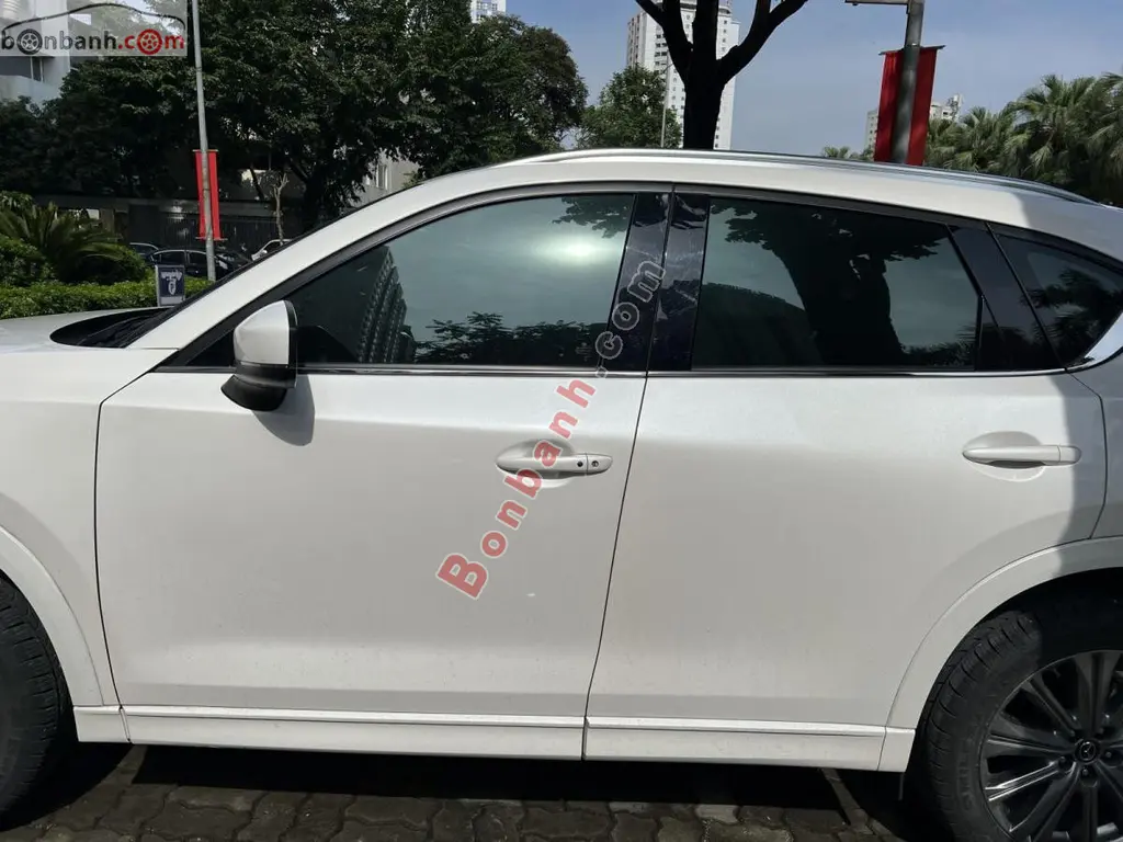 Hình ảnh số 4