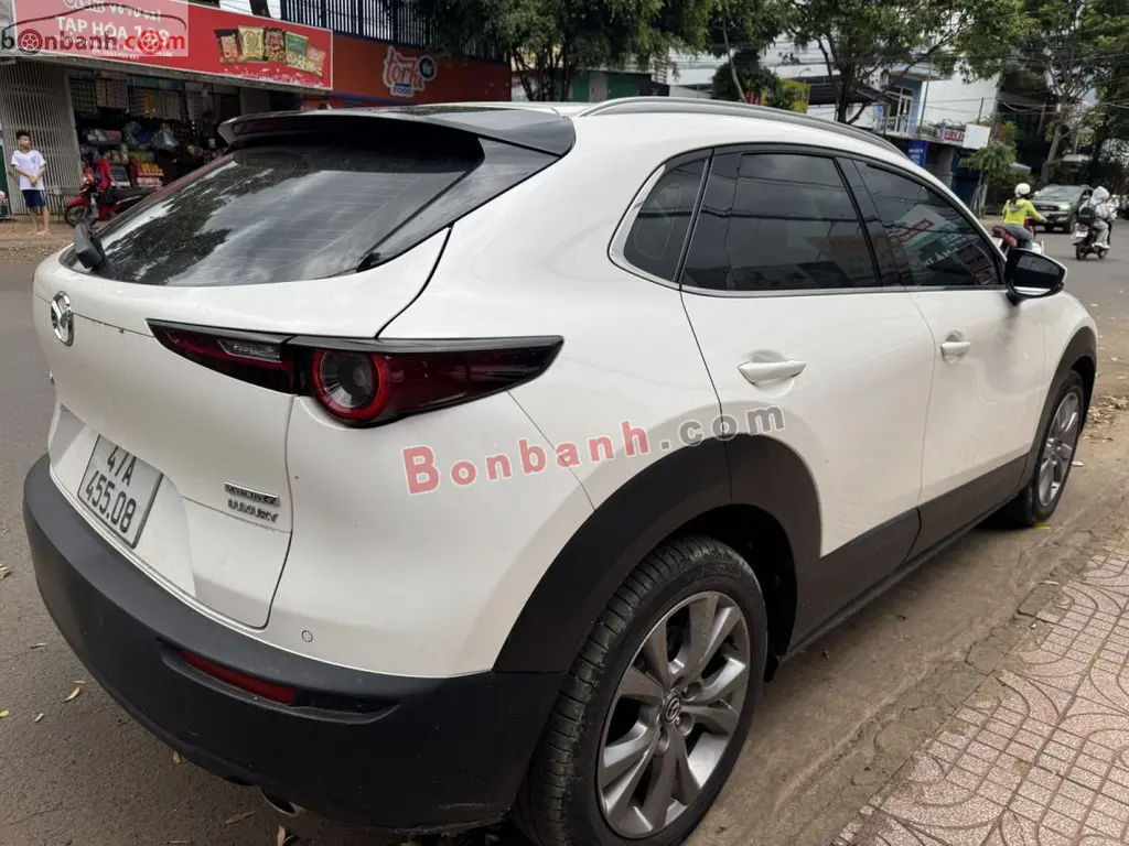 Hình ảnh số 5